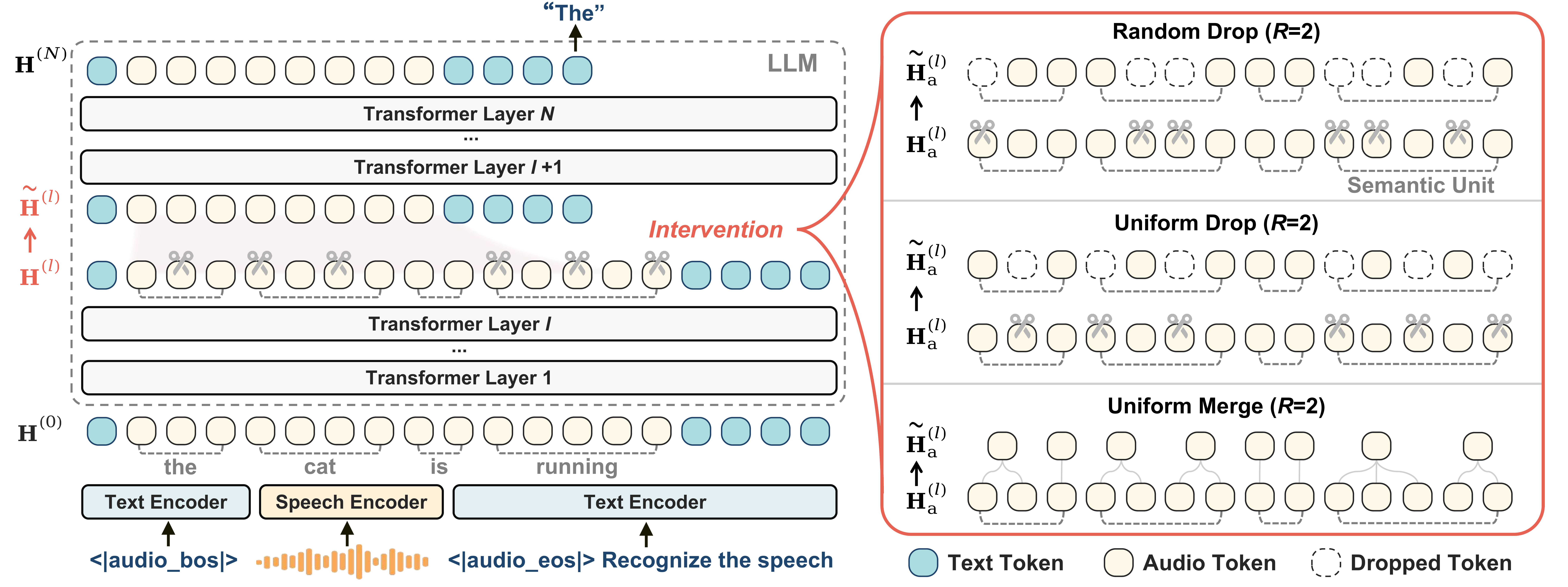 Framework of oracle intervention experiments.
